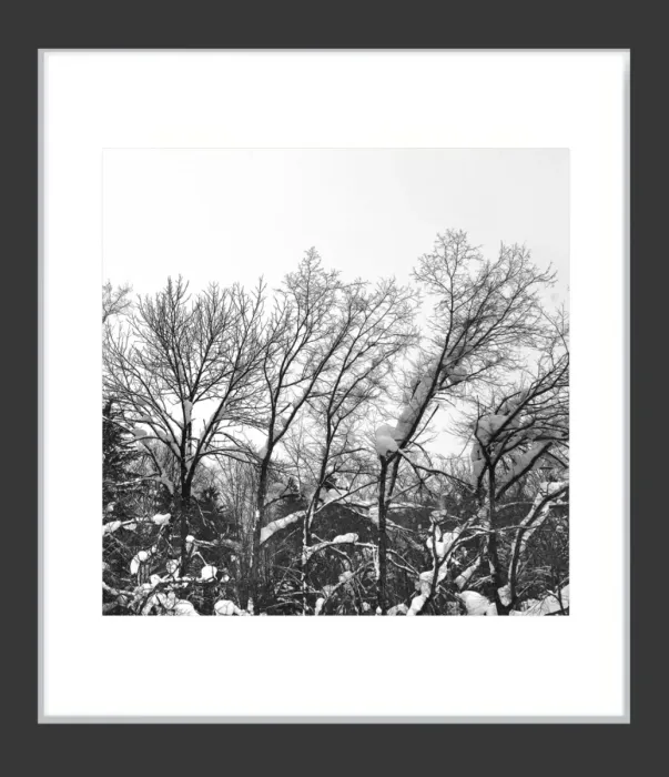 1.6-7-34-MINIMALIST-Black-and-White-Photos-MIXEDMK7-L1011223-Biei-Japan-2018