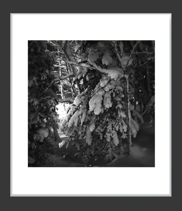 1.6-7-35-MINIMALIST-Black-and-White-Photos-MIXEDMK7-L1011241-Biei-Japan-2018