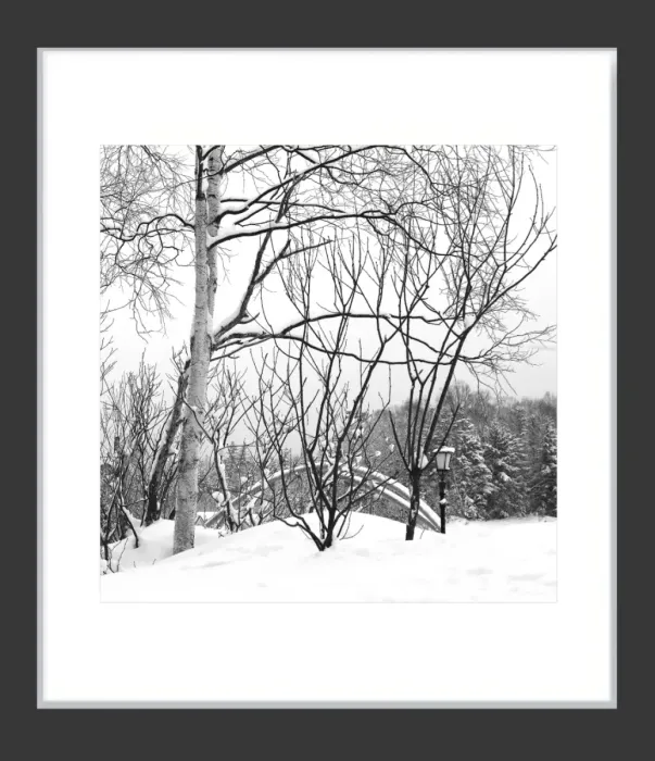1.6-7-36-MINIMALIST-Black-and-White-Photos-MIXEDMK7-L1011269-Biei-Japan-2018