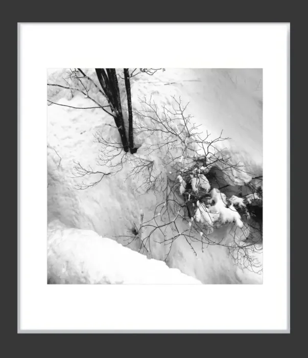 1.6-7-37-MINIMALIST-Black-and-White-Photos-MIXEDMK7-L1011274-Biei-Japan-2018