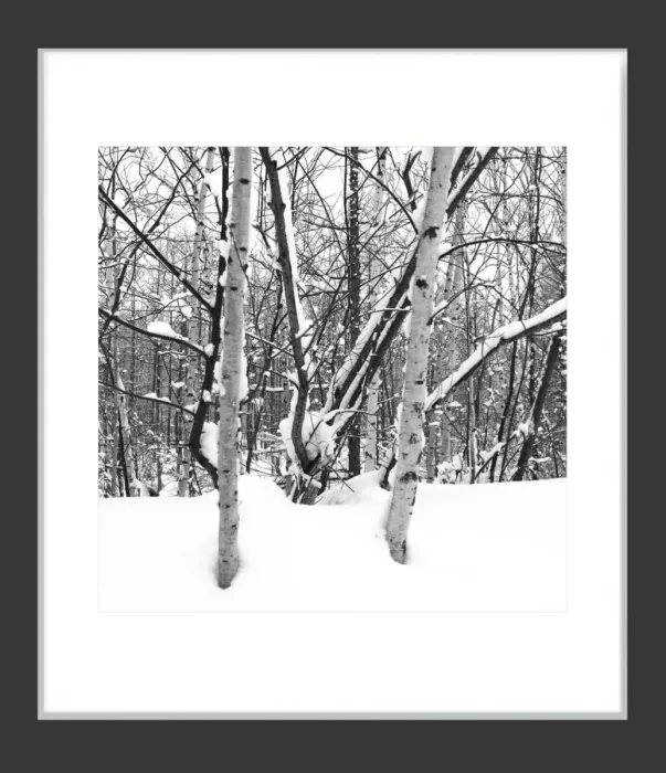 1.6-7-39-MINIMALIST-Black-and-White-Photos-MIXEDMK7-15.29-L1011310-Biei-Japan-2018