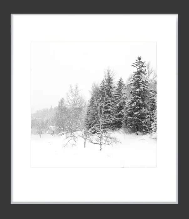 1.6-7-4-MINIMALIST-Black-and-White-Photos-MIXEDMK7-L1011253-Biei-Japan-2018