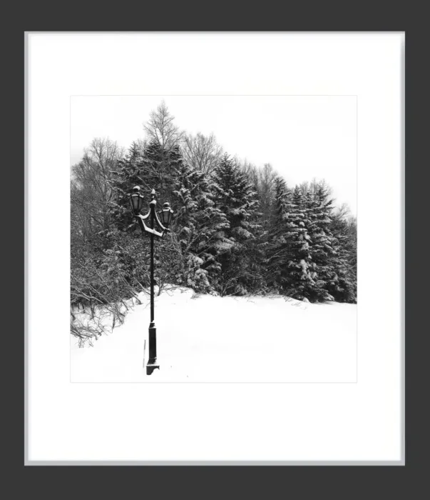 1.6-7-5-MINIMALIST-Black-and-White-Photos-MIXEDMK7-L1011266-Biei-Japan-2018