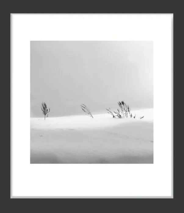 1.6-7-7-MINIMALIST-Black-and-White-Photos-MIXEDMK7-L1011364-Biei-Japan-2018