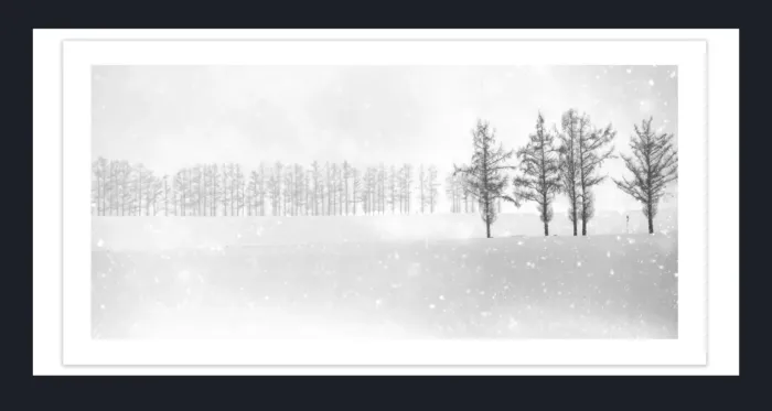 19.4.2-MINIMALISM-Landscape-Black-and-White-Photos-SNOWSCAPES-L1011418-20-Japan-2018