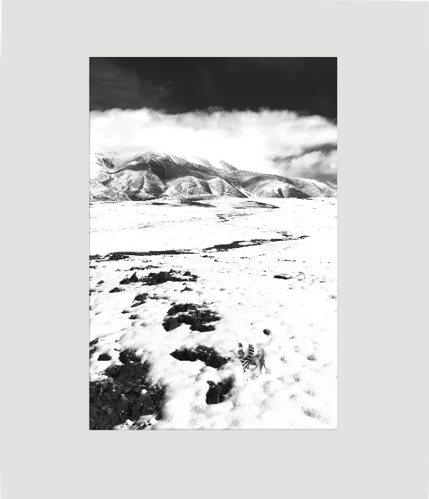 1.6-1-4C-ORIENTATION-Black-and-White-Photographs-MIXEDMK1beige-L1006542-Mongolia-2017