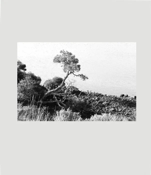 1.6-1-8-ORIENTATION-Black-and-White-Photographs-MIXEDMK1beige-BOLIVIAN-OUTBACK-Phillip-Island-Victoria-L1028261-2015
