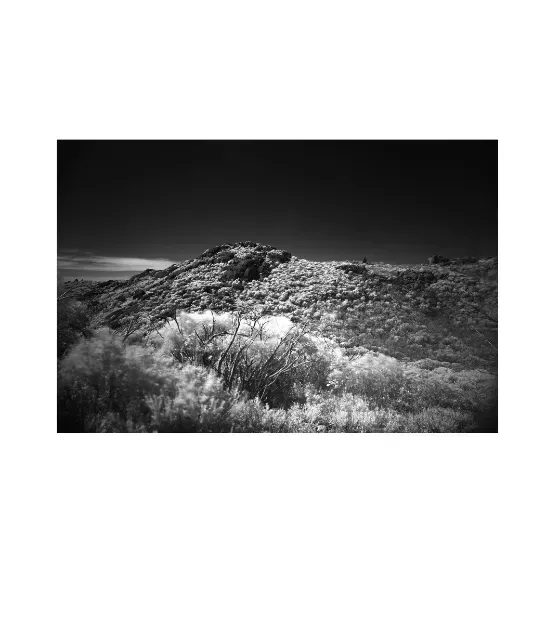 1.6-2-2B-ORIENTATION-Black-and-White-Photographs-MIXEDMK2white-Infrared-Catheral-Mt-Buffalo-L1030488-2015-