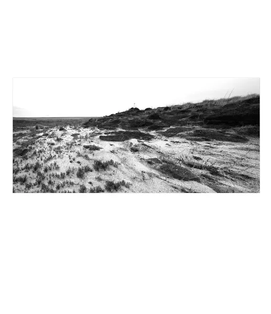 1.6-2-8-ORIENTATION-Black-and-White-Photographs-MIXEDMK2white-Meadow-Colac-Victoria-L1000020-24-2015