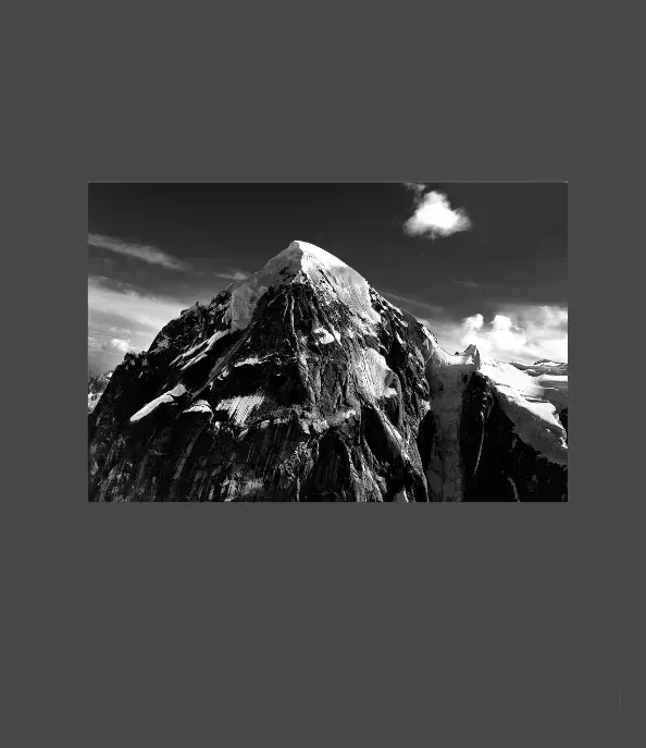 1.6-3-1-ORIENTATION-Black-and-White-Photographs-MIXEDMK3brown-Aerial-McKinley-Alaska-USA-L1003662-2016