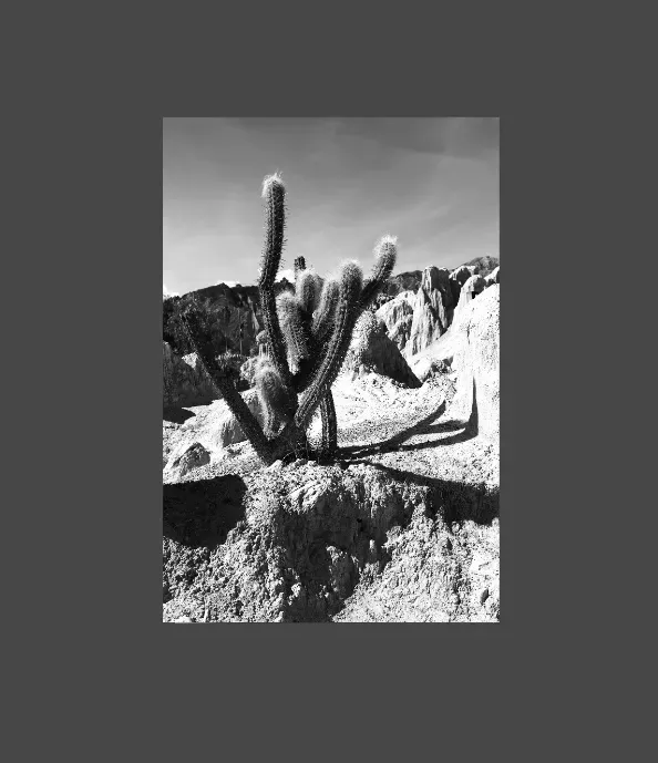 1.6-3-11-ORIENTATION-Black-and-White-Photographs-MIXEDMK3brown-BACK-COUNTRY-BOLIVIAN-OUTBACK-South-America-L1025449-2015