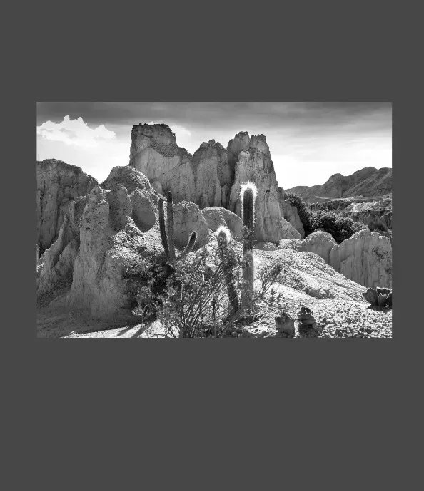 1.6-3-15-ORIENTATION-Black-and-White-Photographs-MIXEDMK3brown-ROCK-FORMATIONS-Moon-valley-Boliva-South-AmeR-L1025448-2015