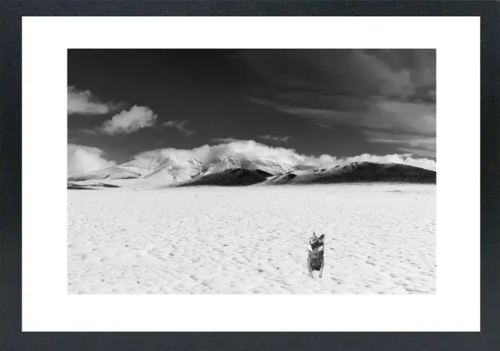 1.6-5-1-MINIMALIST-MIXEDMK5-L1006452-Snowy-Mountain-Mongoalia-2016