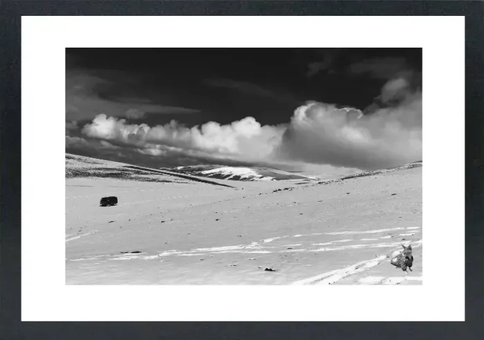 1.6-5-10-MINIMALIST-MIXEDMK5-L1006507-Snowy-Mountain-Mongolia-2016