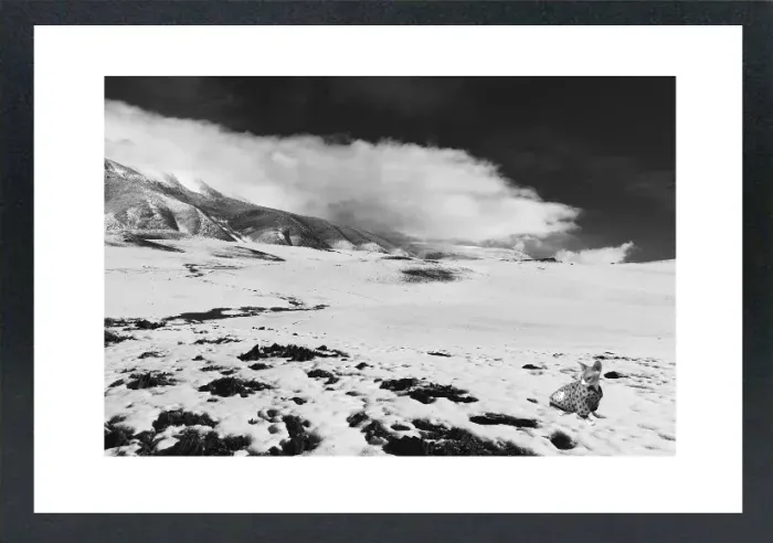 1.6-5-12-MINIMALIST-MIXEDMK5-L1006551-Snowy-Mountain-Mongolia-2016