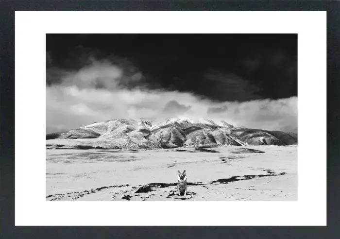 1.6-5-13-MINIMALIST-MIXEDMK5-L1006552-Snowy-Mountain-Mongolia-2016