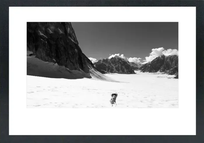 1.6-5-16-MINIMALIST-MIXEDMK5-L1003715-18-Glacier-landing-Mc-kinley-Alaska-2016
