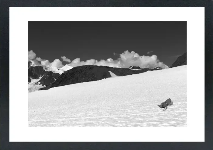 1.6-5-17-MINIMALIST-MIXEDMK5-L1003721-22-Glacier-landing-Mc-kinley-Alaska-2016