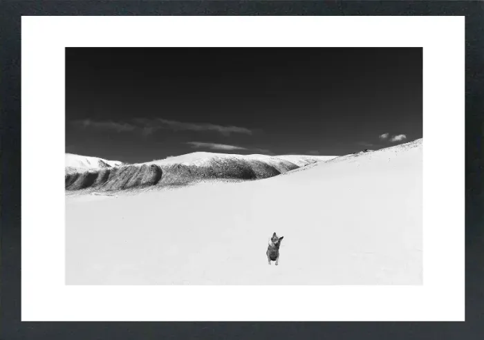 1.6-5-3-MINIMALIST-MIXEDMK5-L1006500-Snowy-Mountain-Mongoalia-2016-