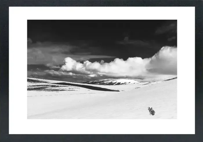 1.6-5-4-MINIMALIST-MIXEDMK5-L1006510-Snowy-Mountain-Mongoalia-2016-