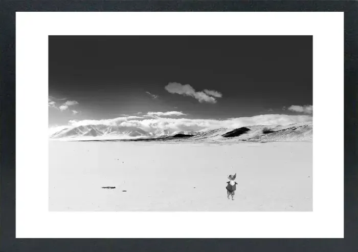1.6-5-9-MINIMALIST-MIXEDMK5-L1006455-Snowy-Mountain-Mongoalia-2016-