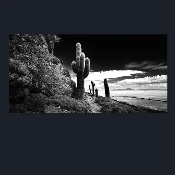 9.1-LANDSCAPE-NATURE-SALT-LAKES-Black-and-White-Salar-De-Uyuni-Bolivia-South-America-L1025758-2015