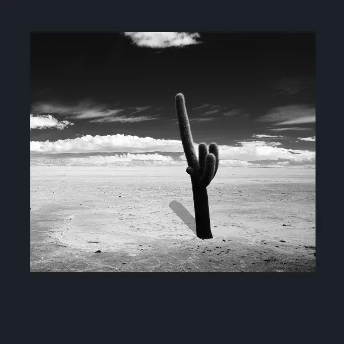 9.10-LANDSCAPE-NATURE-SALT-LAKES-Black-and-White-Salar-De-Uyuni-Bolivia-South-America-L1025753-2015
