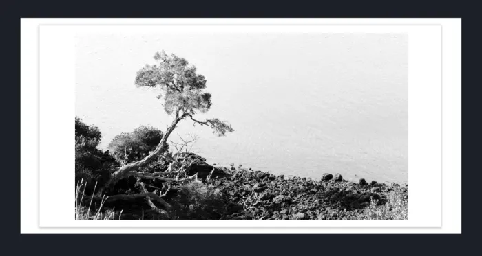 17.10.2-MINIMALISM-TREES-Black-and-White-Photographs-Mt-Fitzroy-trek-South-America-L1023893-2015