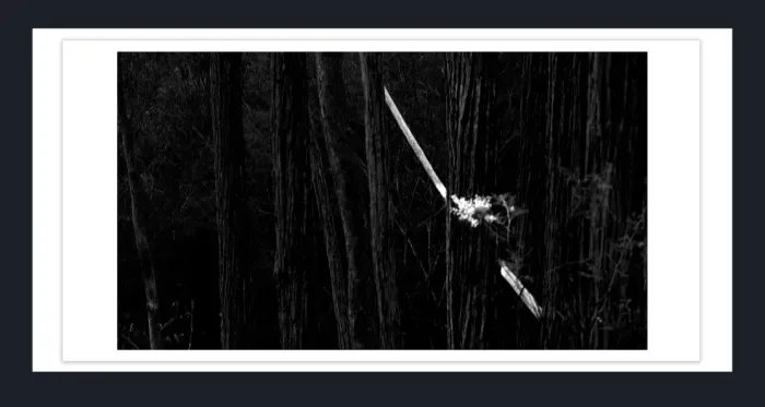 17.10.3-MINIMALISM-TREES-Black-and-White-Photographs-Mt-Fitzroy-trek-South-America-L1023893-2015