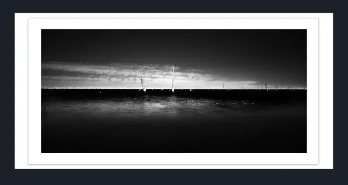 17.8.1-DEAD-TREES-Black-and-White-Photographs-Mulwala-Lake-Yarrawonga-L1017857-2019