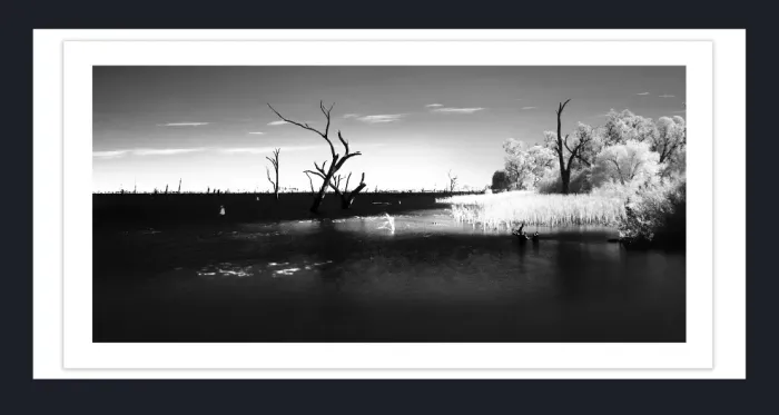 17.8.2-DEAD-TREES-Black-and-White-Photographs-Mulwala-Lake-Yarrawonga-L1017861-2019