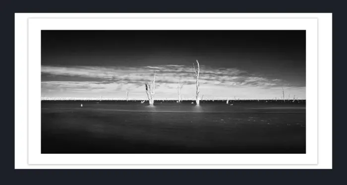 17.8.2B-DEAD-TREES-Black-and-White-Photographs-Mulwala-Lake-Yarrawonga-L1017864-2019