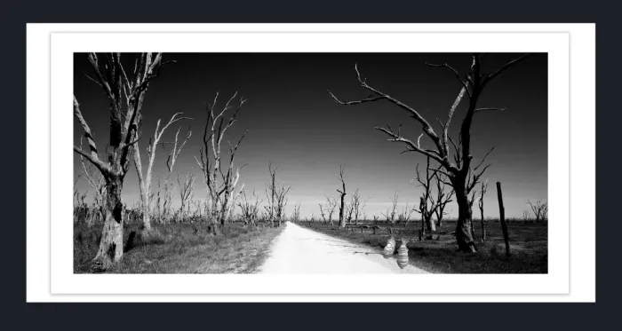 17.8.3B-DEAD-TREES-Black-and-White-Photographs-Winton-Wetlands-Benalla-Victoria-L1030181-2015
