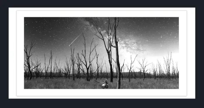 17.8.3E-DEAD-TREES-Black-and-White-Photographs-Winton-Wetlands-Benalla-Victoria-L1030143-2015