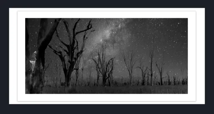 17.8.3F-DEAD-TREES-Black-and-White-Photographs-Winton-Wetlands-Benalla-Victoria-L1030175-2015