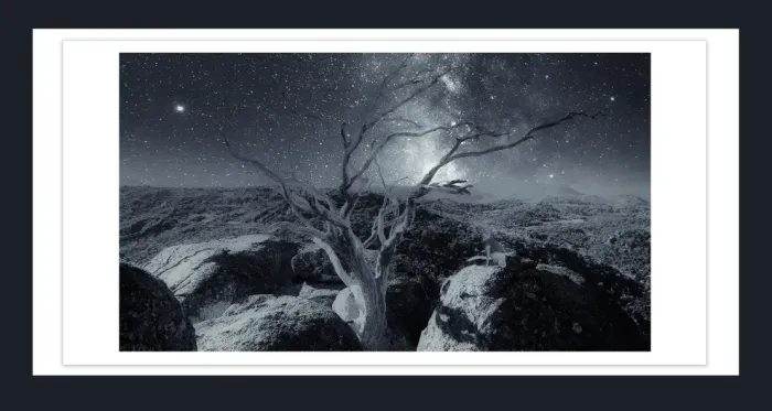 17.8.7-DEAD-TREES-Black-and-White-Photographs-Mt-Buffalo-Victoria-L1030261-2015