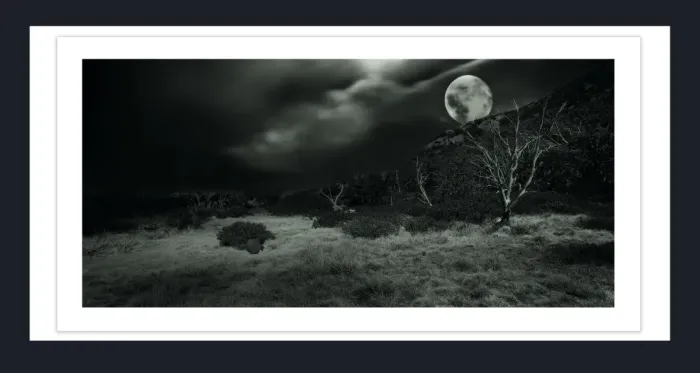 17.8.9-DEAD-TREES-Black-and-White-Photographs-Mt-Buffalo-Victoria-L1030481-2015