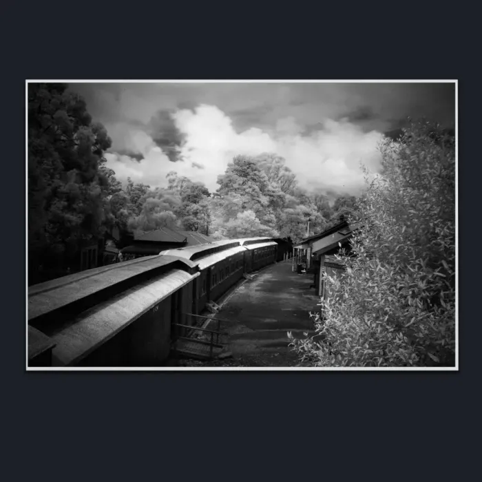 5.1.12-INFRARED-PHOTOS-COUNTRY-LIVING-Blackand-White-Coal-Creek-Korumbura-Victoria-Australia-L1017463-2019