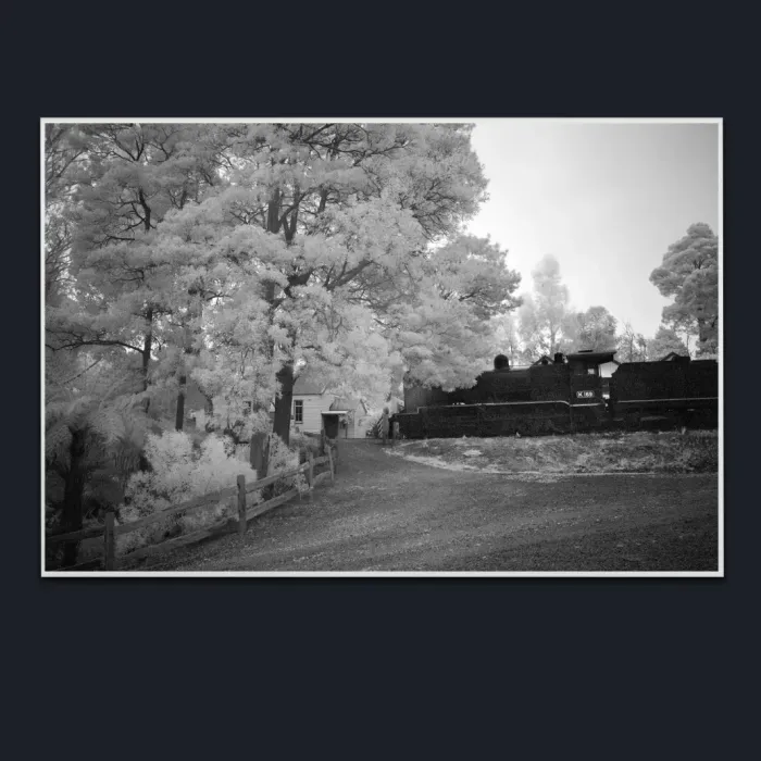 5.1.18-INFRARED-PHOTOS-COUNTRY-LIVING-Blackand-White-Coal-Creek-Korumbura-Victoria-Australia-L1017495-2019