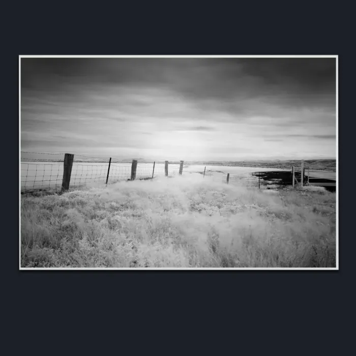 5.1.21-INFRARED-PHOTOS-COUNTRY-LIVING-Black-and-White-Erica-Moe-Victoria-Australia-L1018133-2019