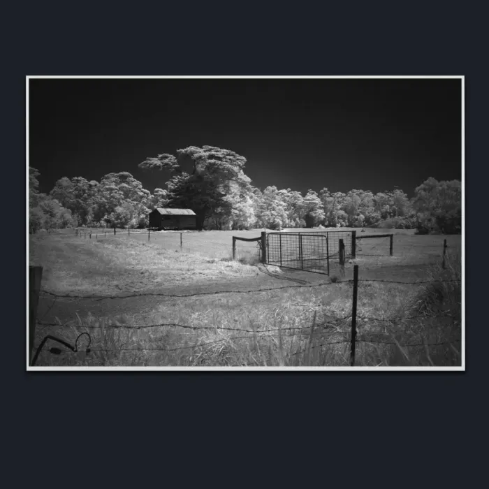 5.1.23-INFRARED-PHOTOS-COUNTRY-LIVING-Black-and-White-Erica-Moe-Victoria-Australia-L1018175-2019