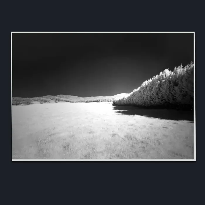 5.1.25-INFRARED-PHOTOS-COUNTRY-LIVING-Black-and-White-Lake-Buffalo-Road-Victoria-Australia-L1030396-99-2019