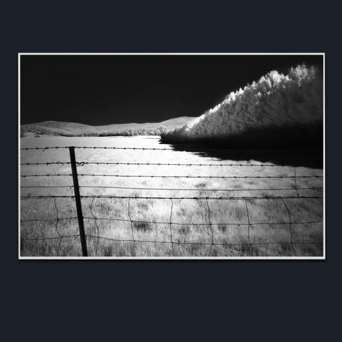 5.1.26-INFRARED-PHOTOS-COUNTRY-LIVING-Black-and-White-Lake-Buffalo-Road-Victoria-Australia-L1030399-2015