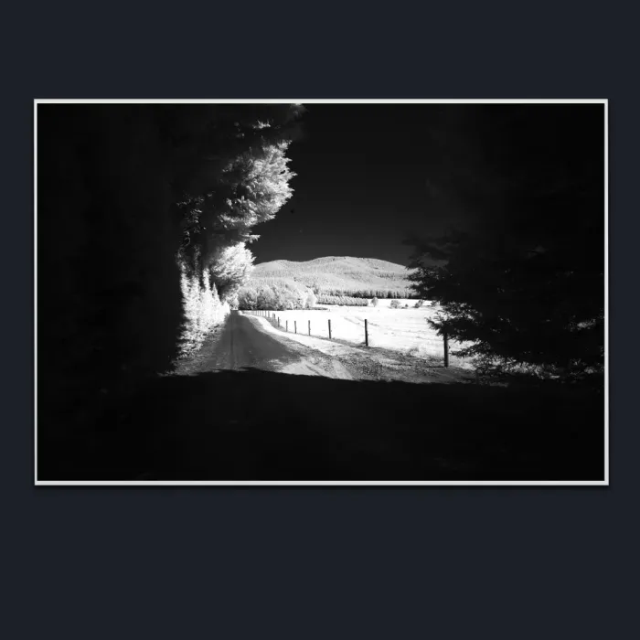 5.1.28-INFRARED-PHOTOS-COUNTRY-LIVING-Black-and-White-Lake-Buffalo-Road-Victoria-Australia-L1030403-2015