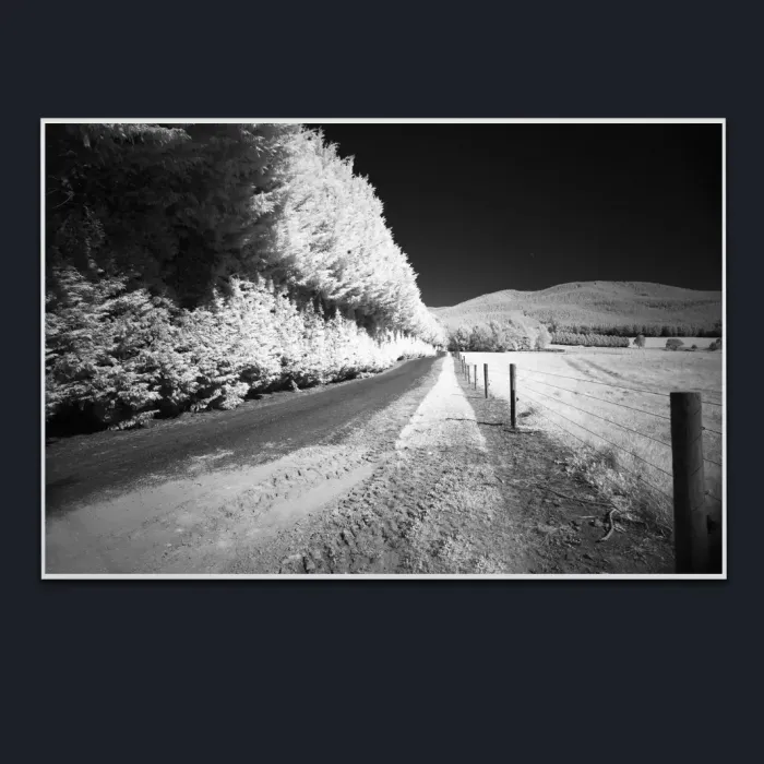 5.1.29-INFRARED-PHOTOS-COUNTRY-LIVING-Black-and-White-Lake-Buffalo-Road-Victoria-Australia-L1030405-2015