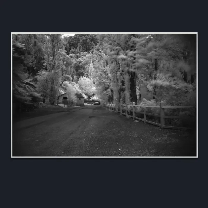 5.1.32-INFRARED-PHOTOS-COUNTRY-LIVING-Black-and-White-Victoria-Australia-L1017947-2015