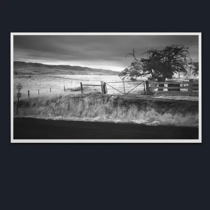 5.1.34-INFRARED-PHOTOS-COUNTRY-LIVING-Black-and-White-Moe-Victoria-Australia-L1018117-2019