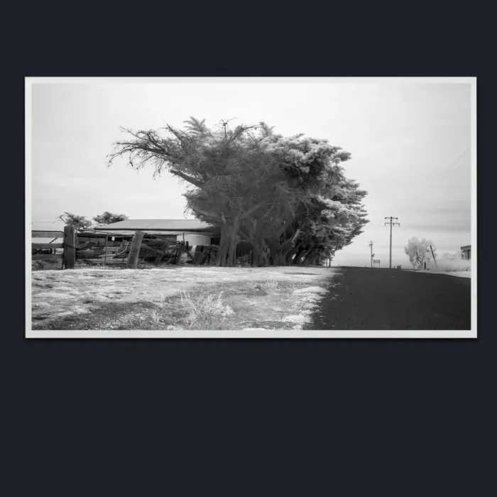 5.1.35-INFRARED-PHOTOS-COUNTRY-LIVING-Black-and-White-Moe-Victoria-Australia-L1018118-2019