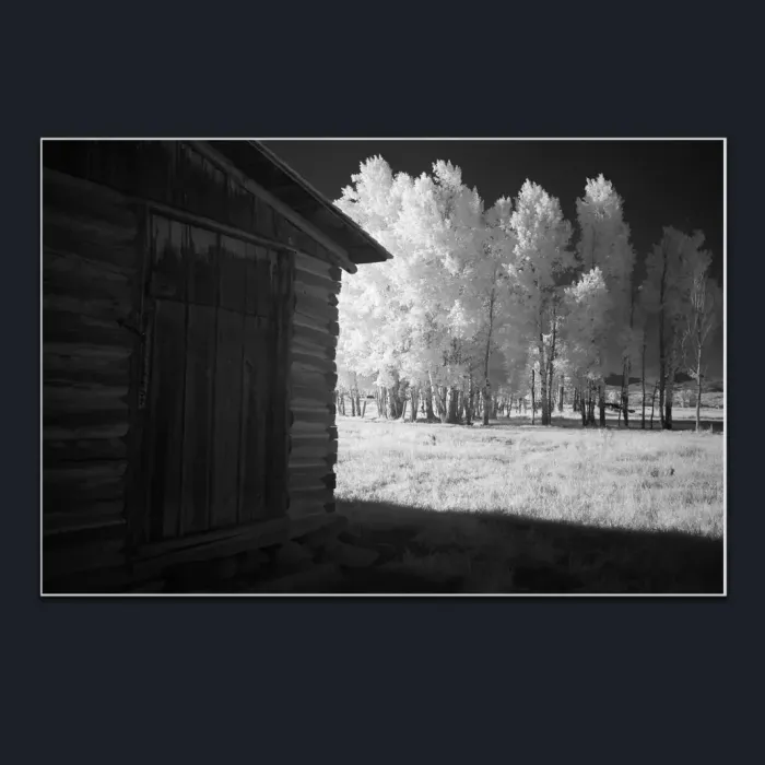5.1.4-INFRARED-PHOTOS-COUNTRY-LIVING-Blackand-White-Grand-Tetons-USA-L1002450-2016