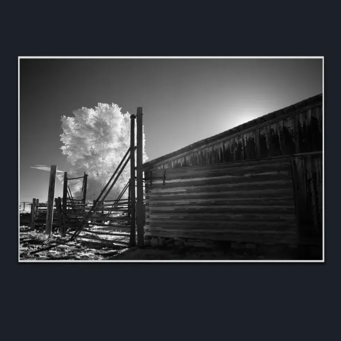 5.1.8-INFRARED-PHOTOS-COUNTRY-LIVING-Blackand-White-Grand-Tetons-USA-L1002444-2016